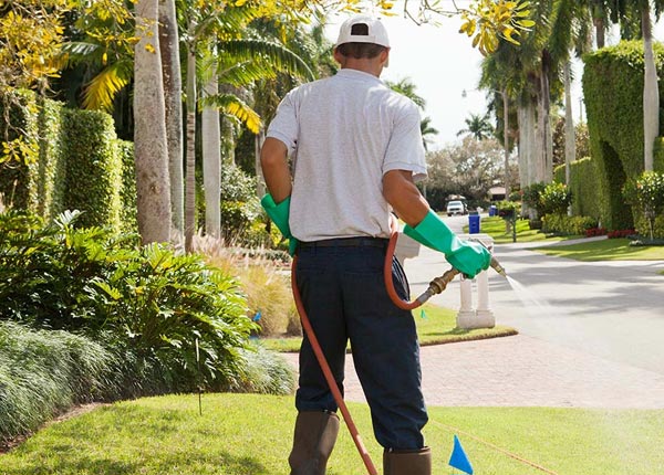About Crystal Spring PA Pest Control